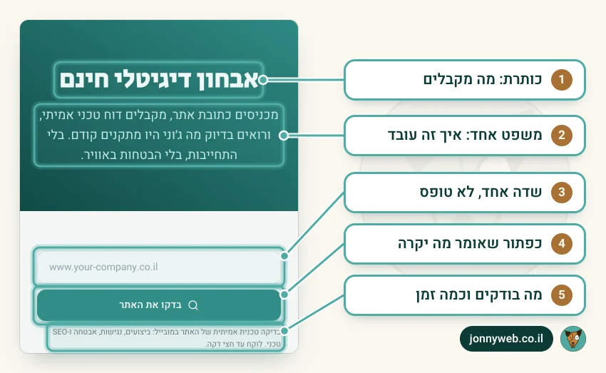 המסך הראשון של דף האבחון הדיגיטלי של ג׳וני בטלפון: כותרת, משפט הסבר, שדה כתובת אתר אחד, כפתור בדקו את האתר ושורה שמסבירה מה בודקים